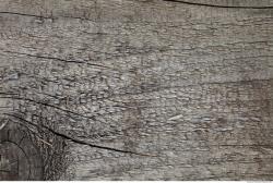 Photo Textures of Wood